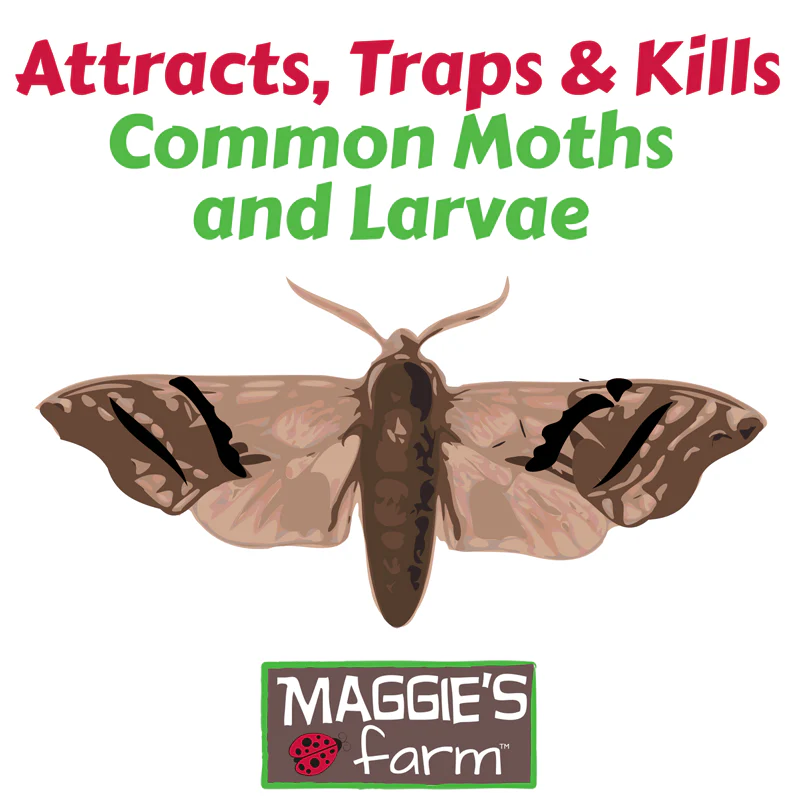Pantry Moth Trap - Image 2