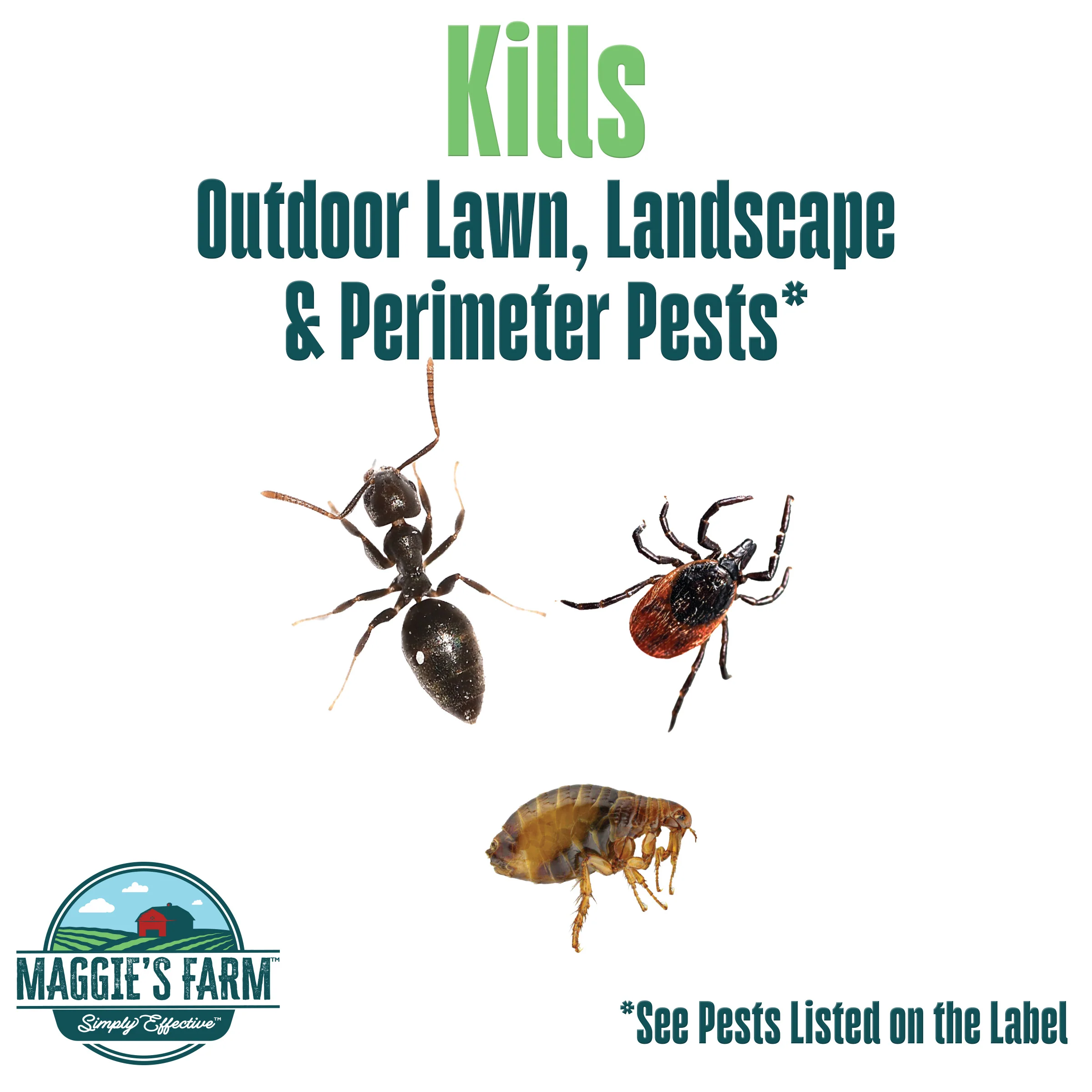 Yard Bug Spray - Image 3